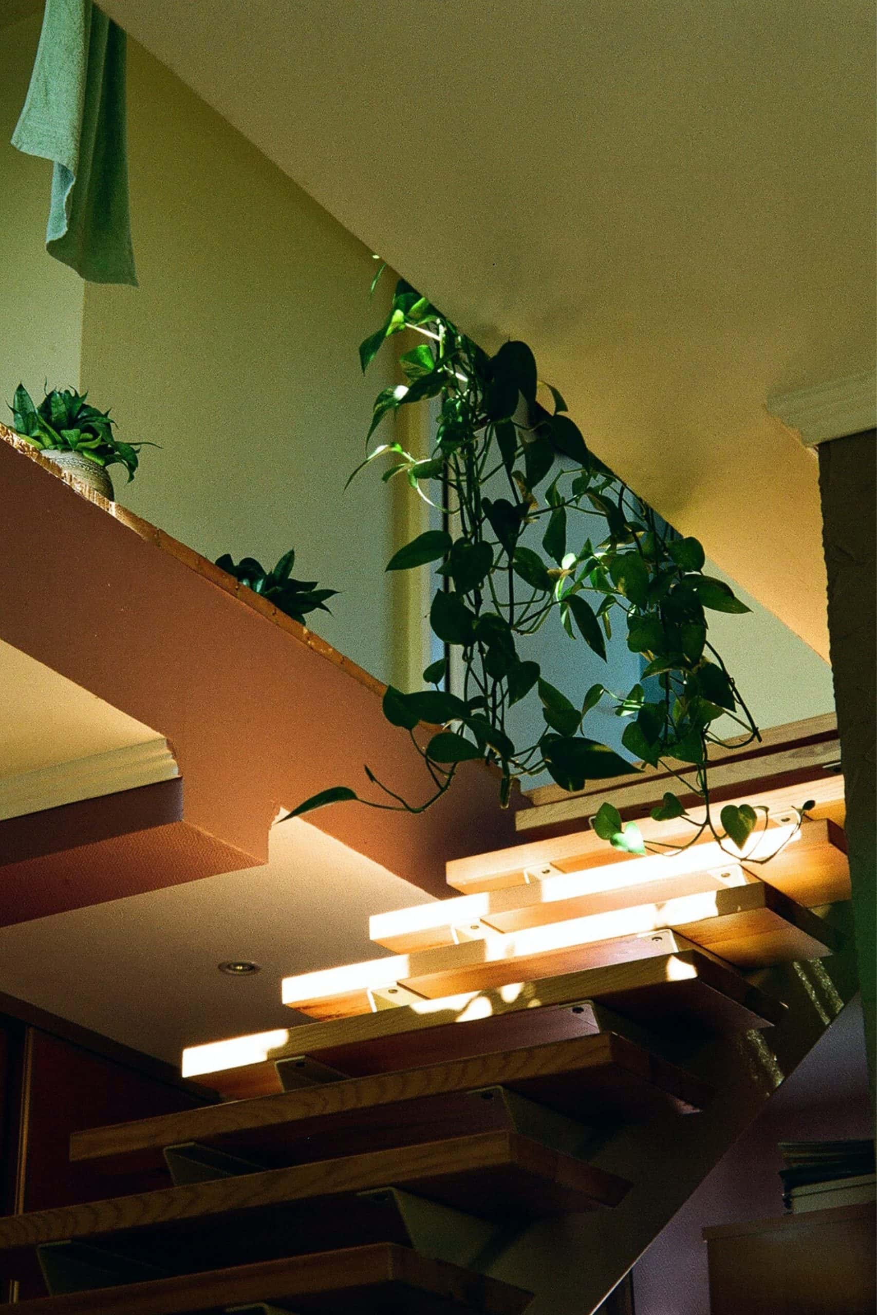 thin strip of light to every stair