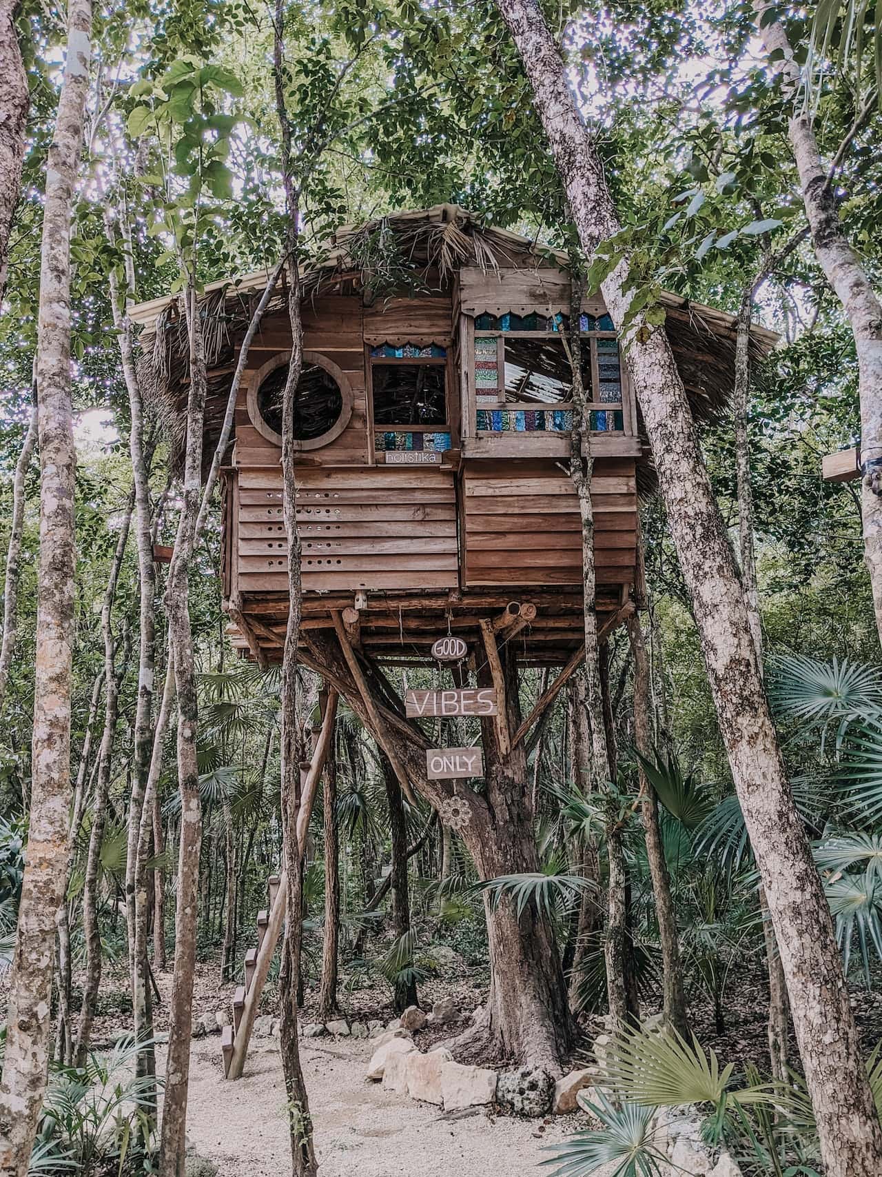 tinted glass style tree house