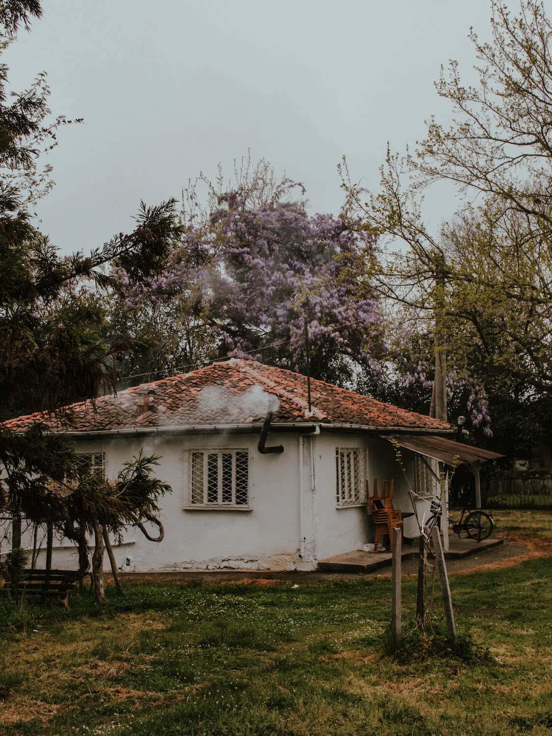 Rustic mangalore tile roof cottage with white walls in lush garden setting
