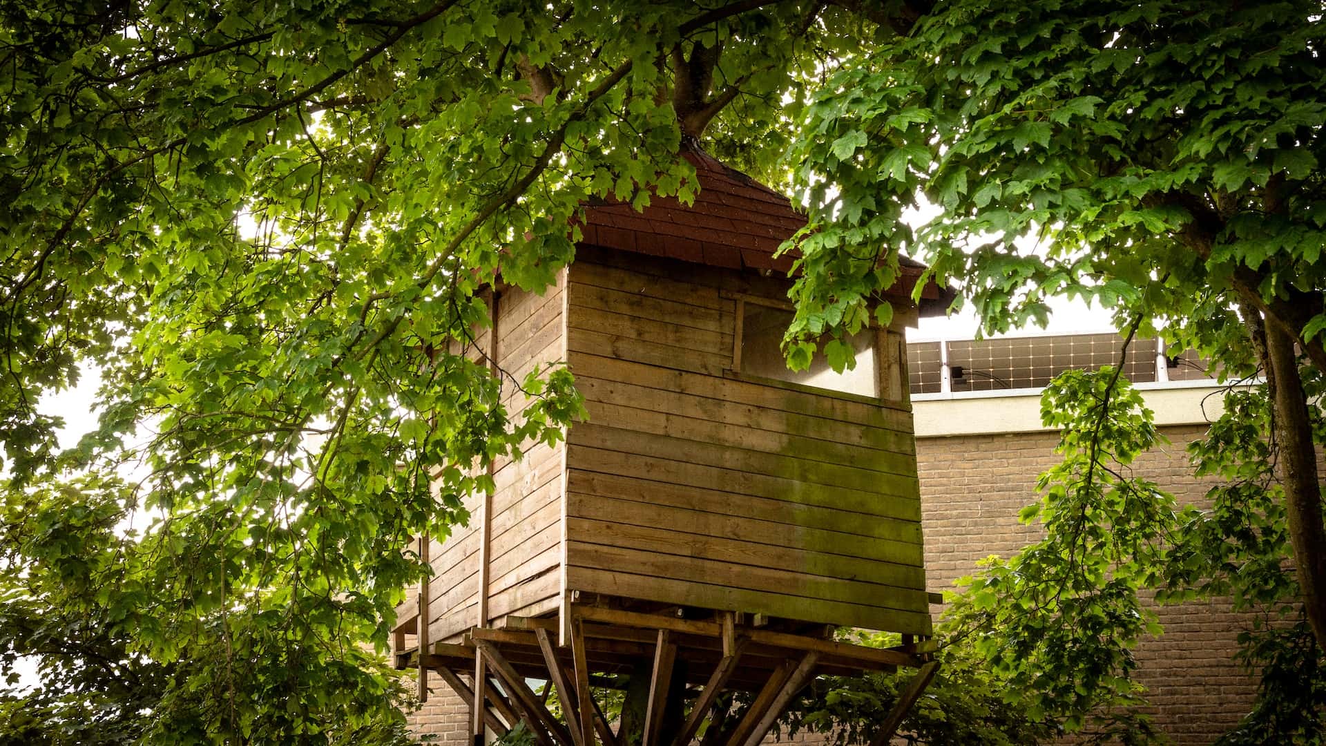 tree house