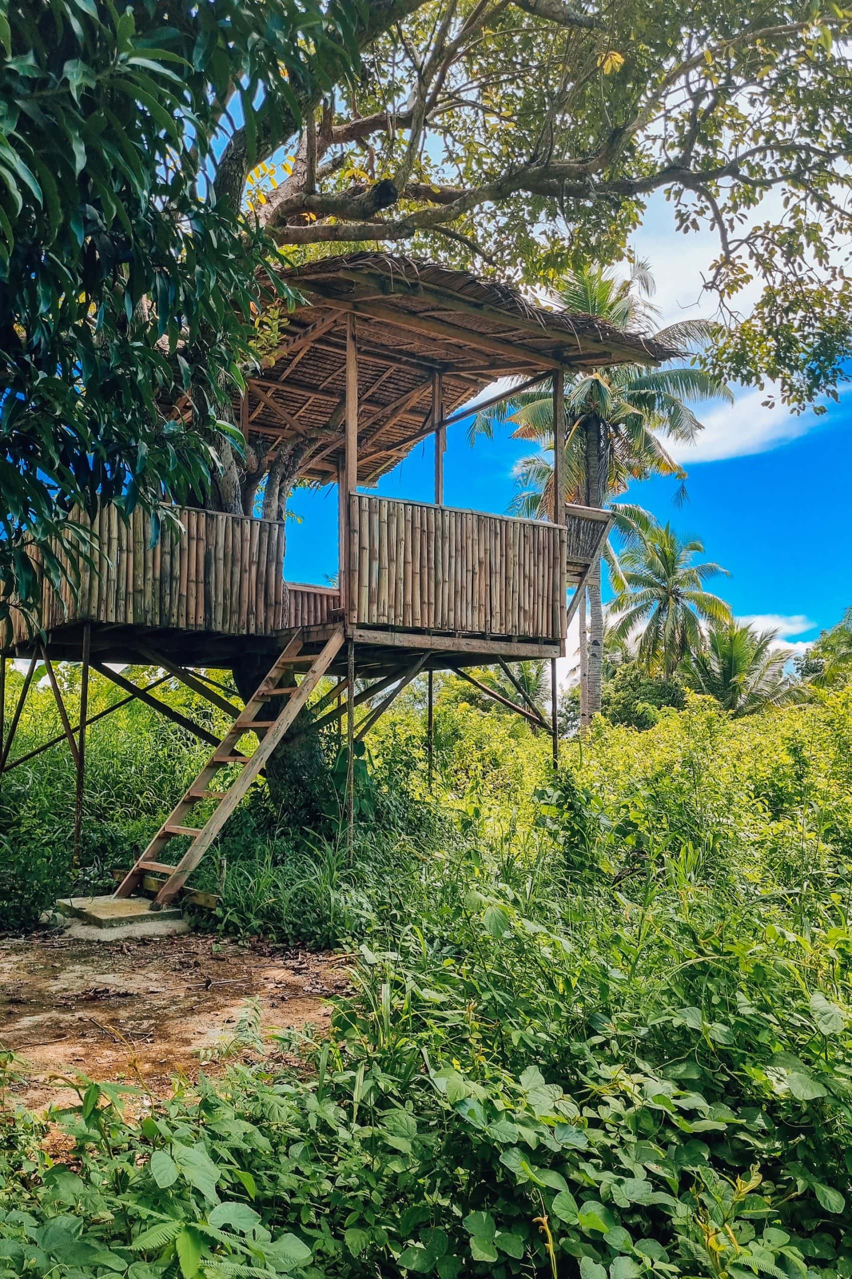 treehouse architecture