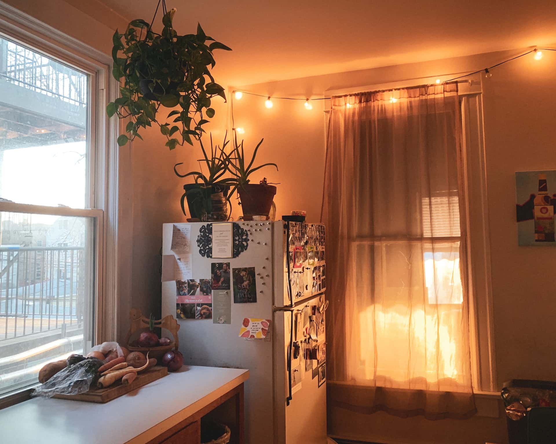 twinkle lights