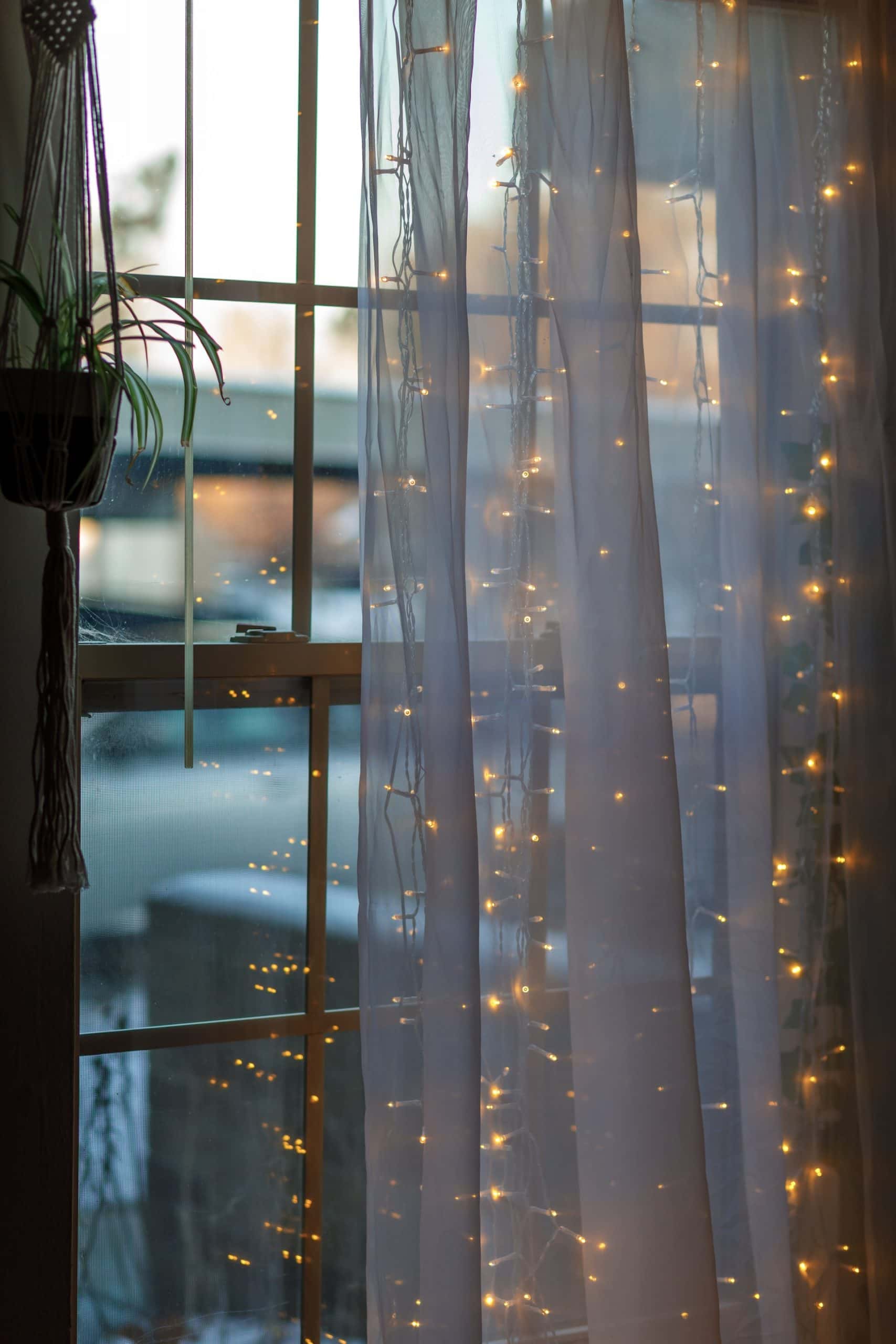 twinkling fairy lights