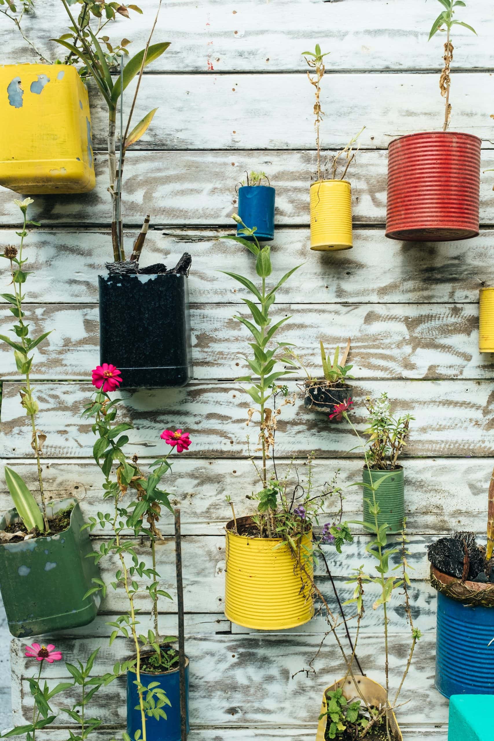 vertical garden