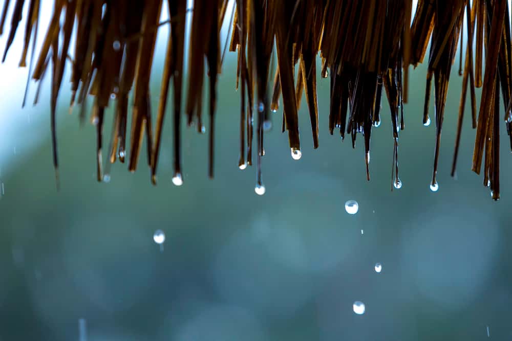 water resistant thatch roof material