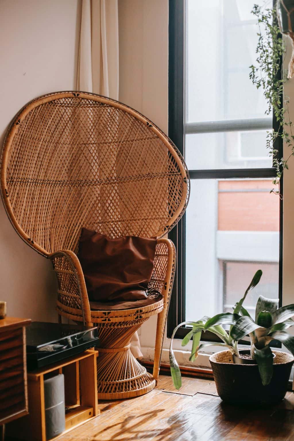 wicker egg shaped chair