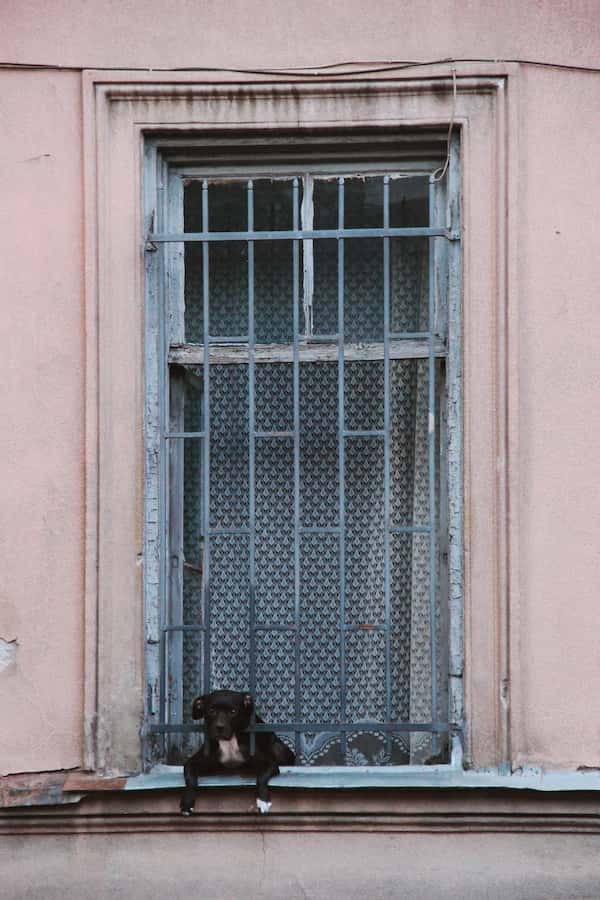 window grill design