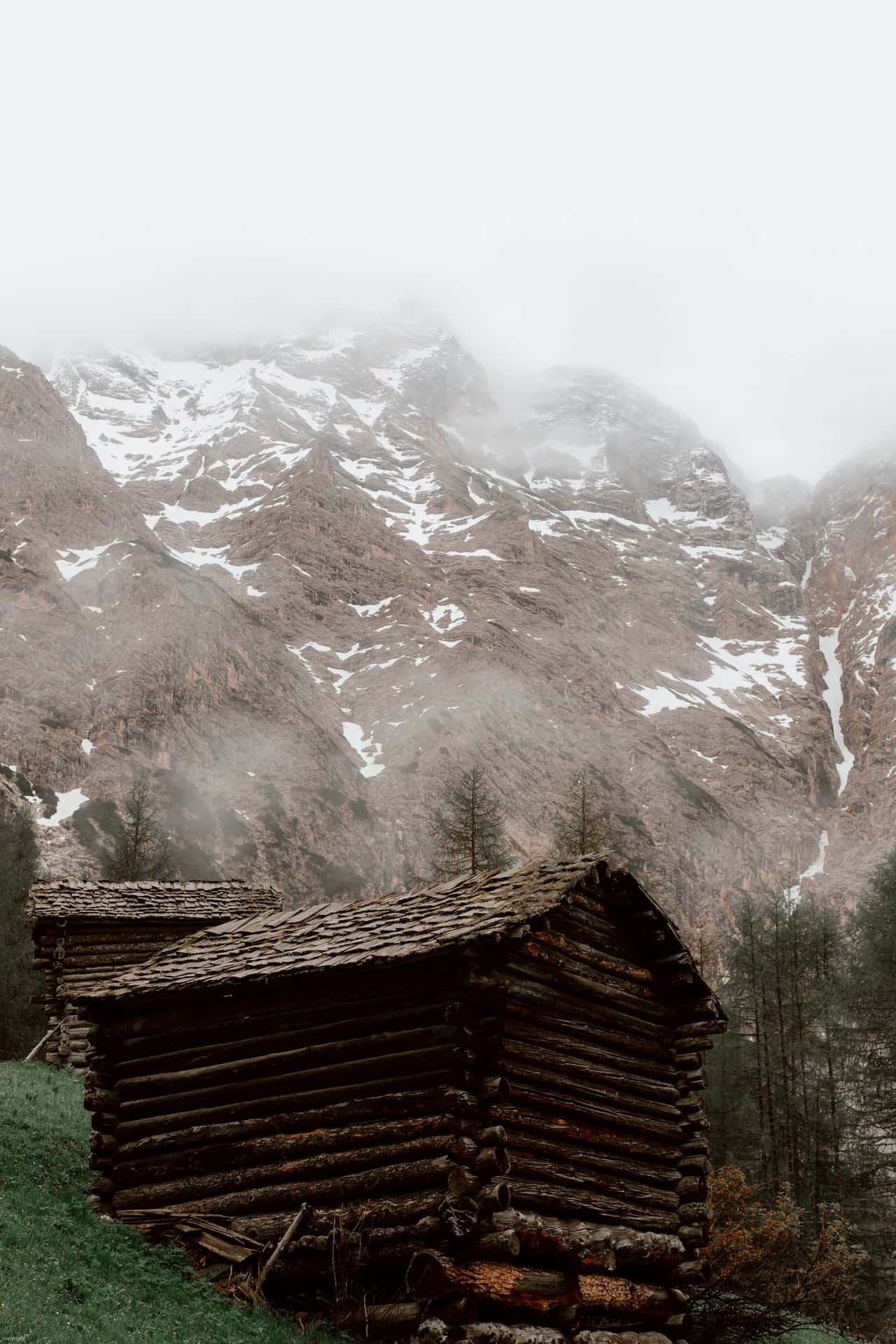 wooden log houses