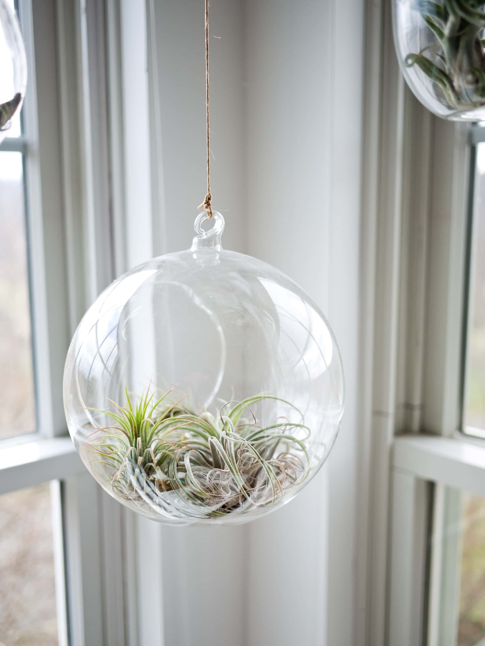 bathroom window design