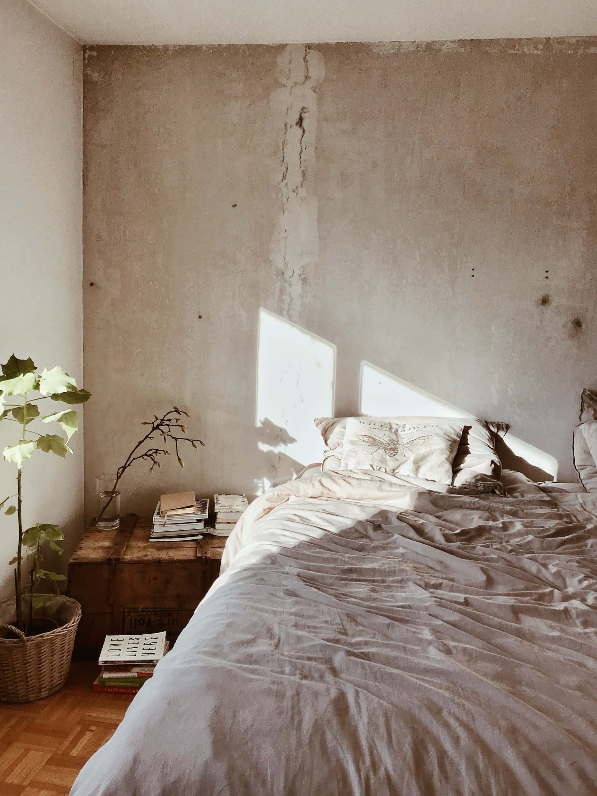 brutalist and bare 2bhk design