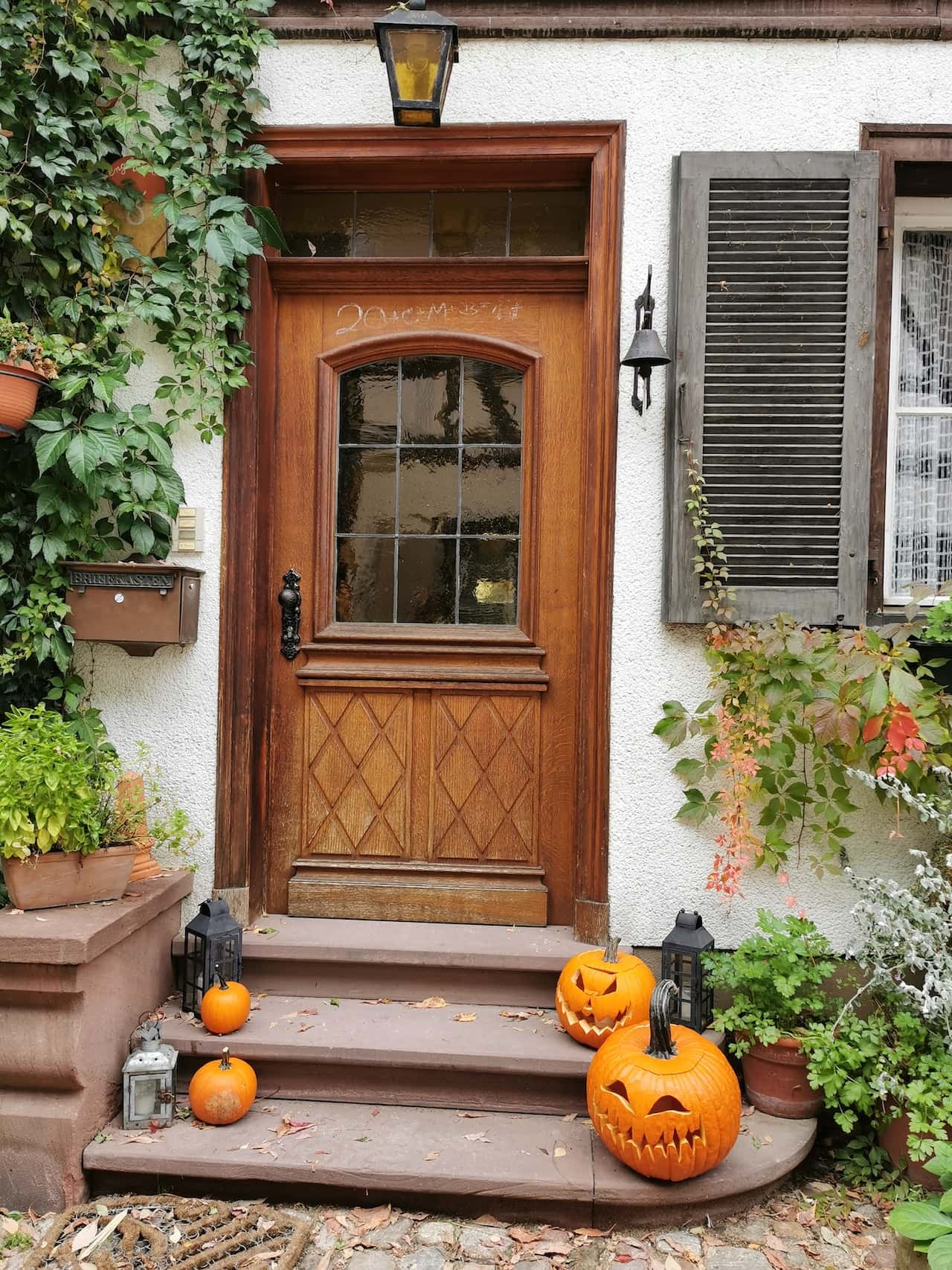 classic net door design