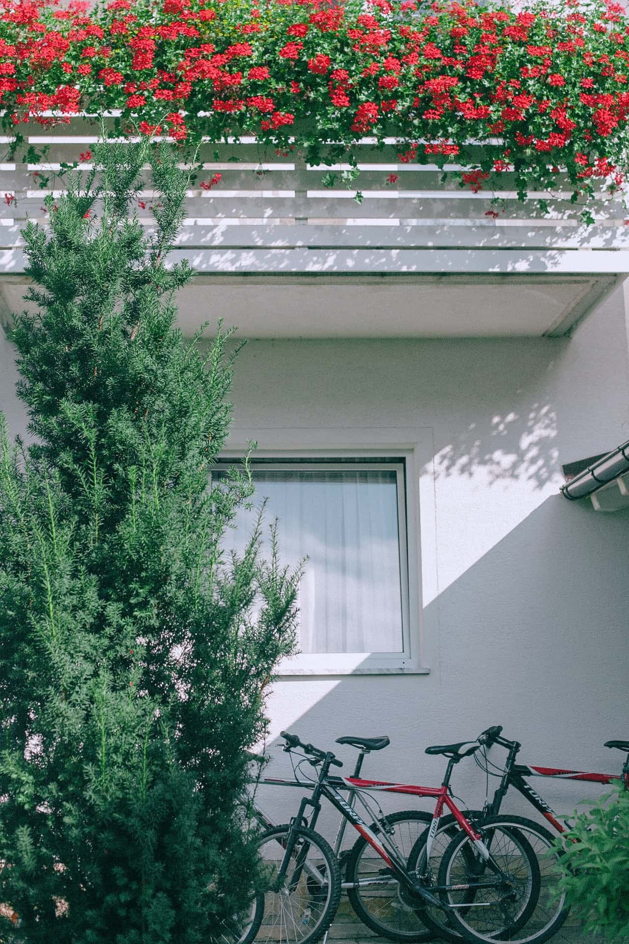 green parapet walls