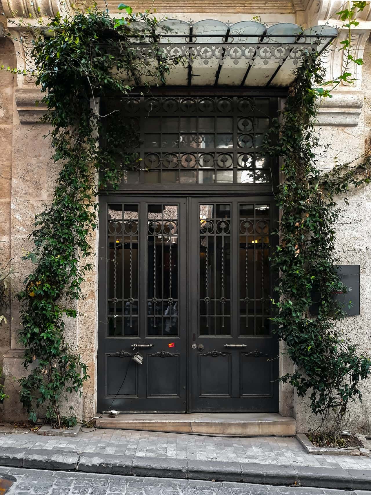 iron grille door idea