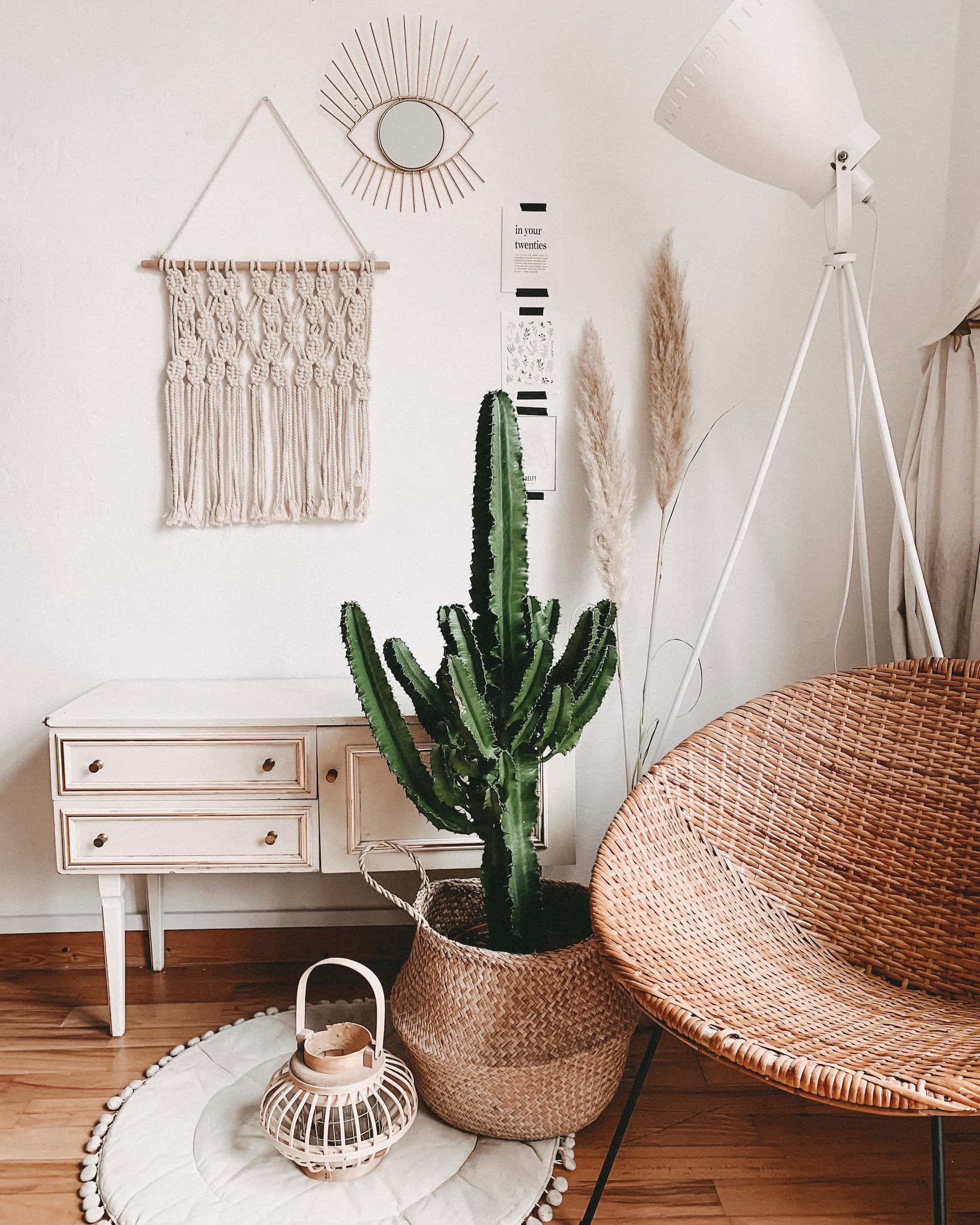 ivory wall paint colours