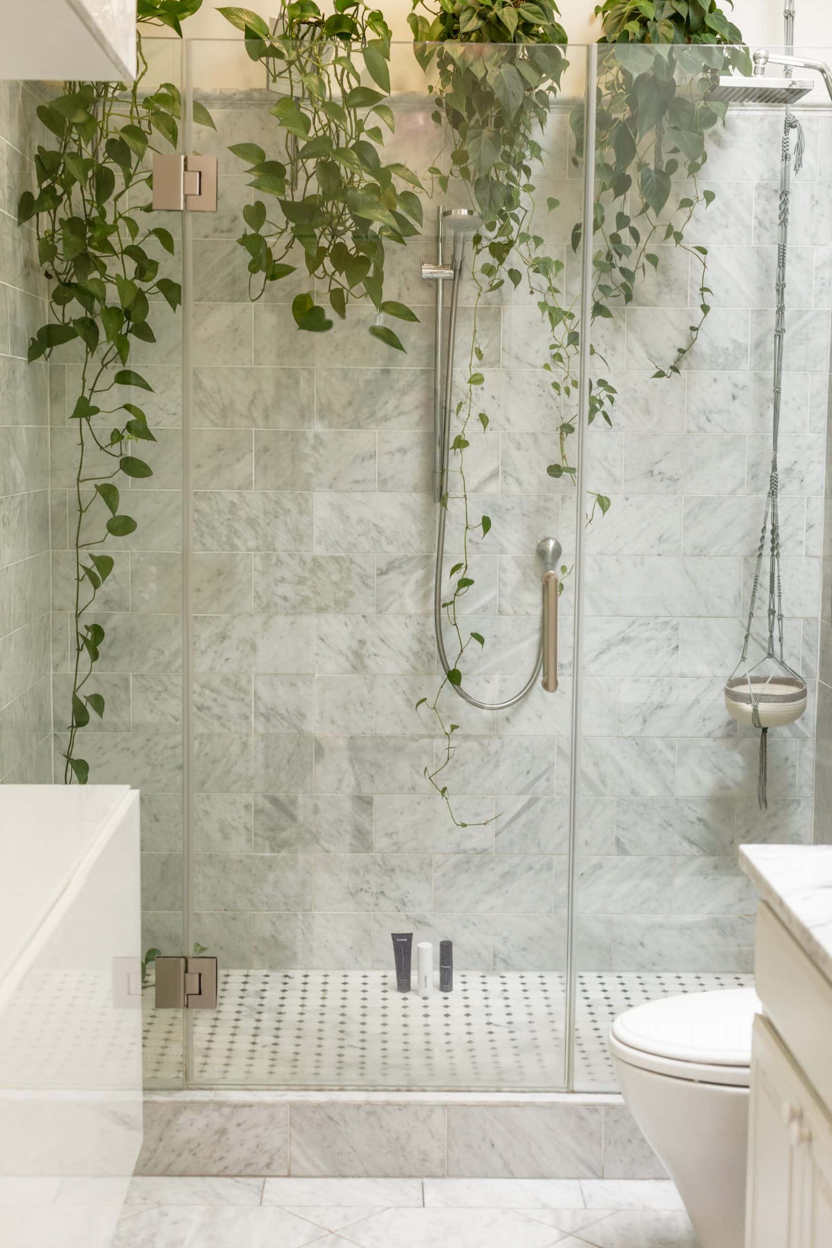 modern bathroom plants