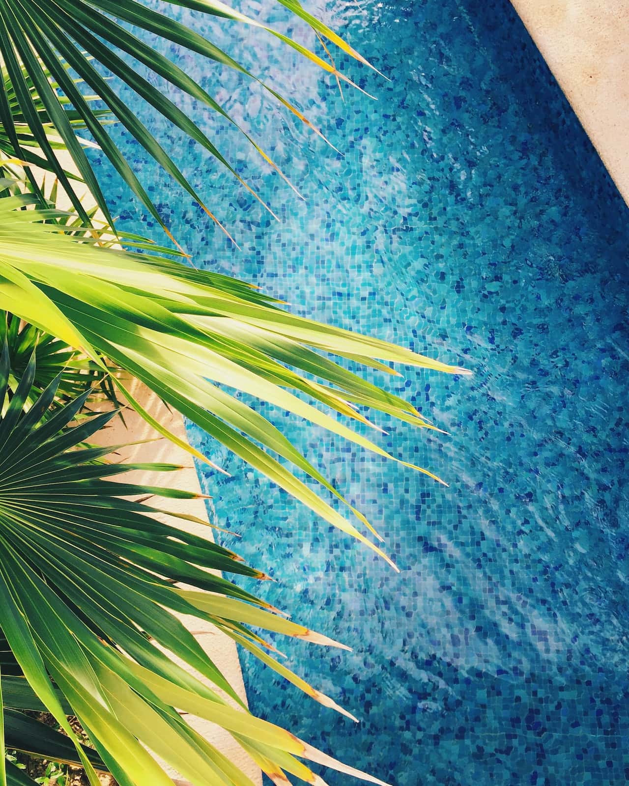 mosaic tile design for swimming pool
