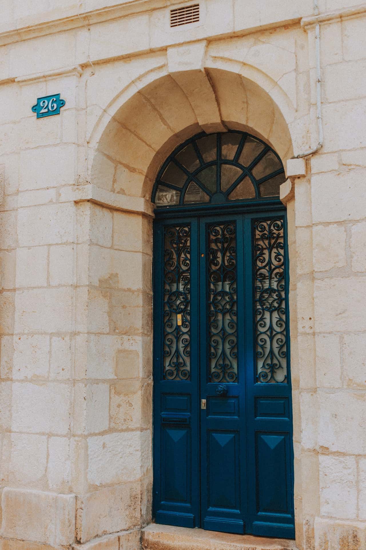 ornamental net door design idea