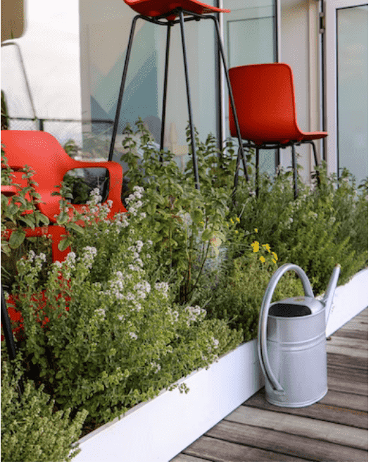 potted house ramp designs