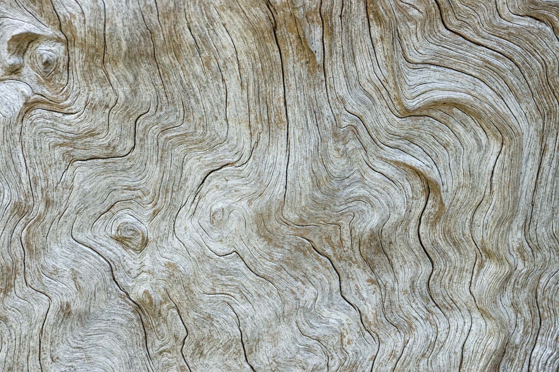 sheesham wood
