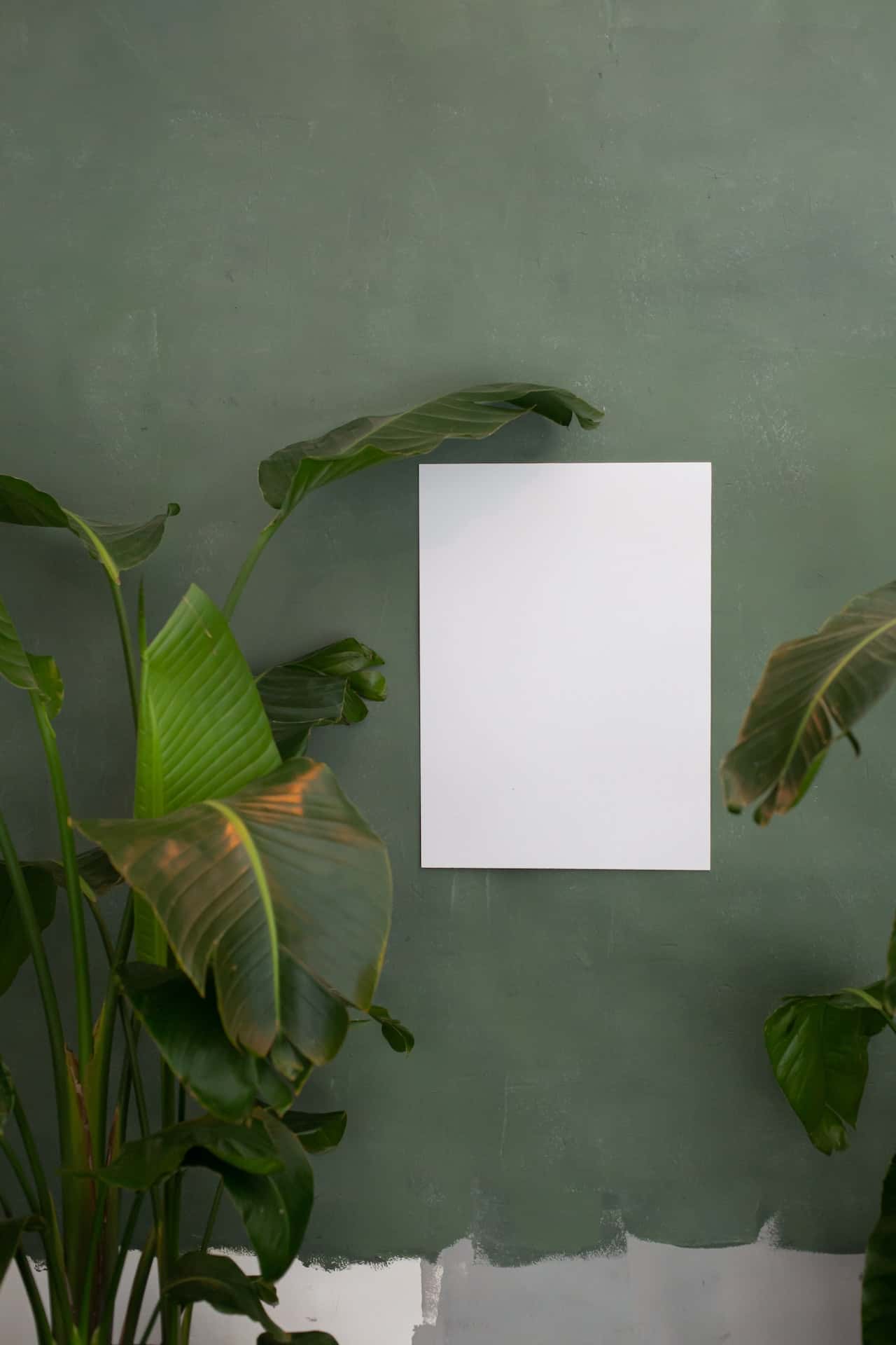 small hostel room decoration ideas