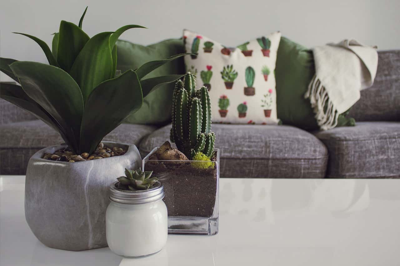 vastu home decor 