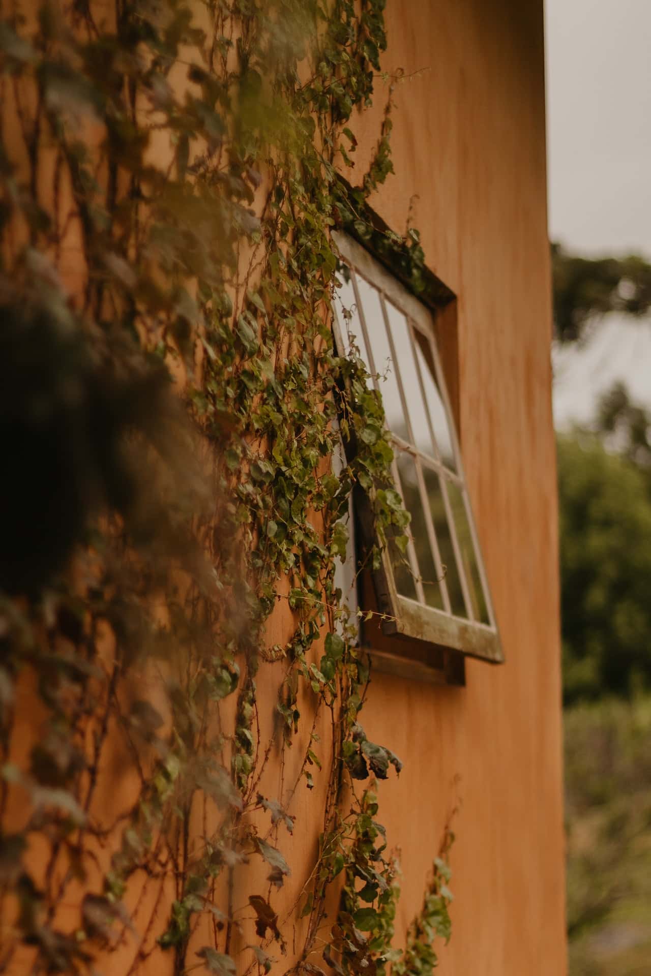 window styles for homes
