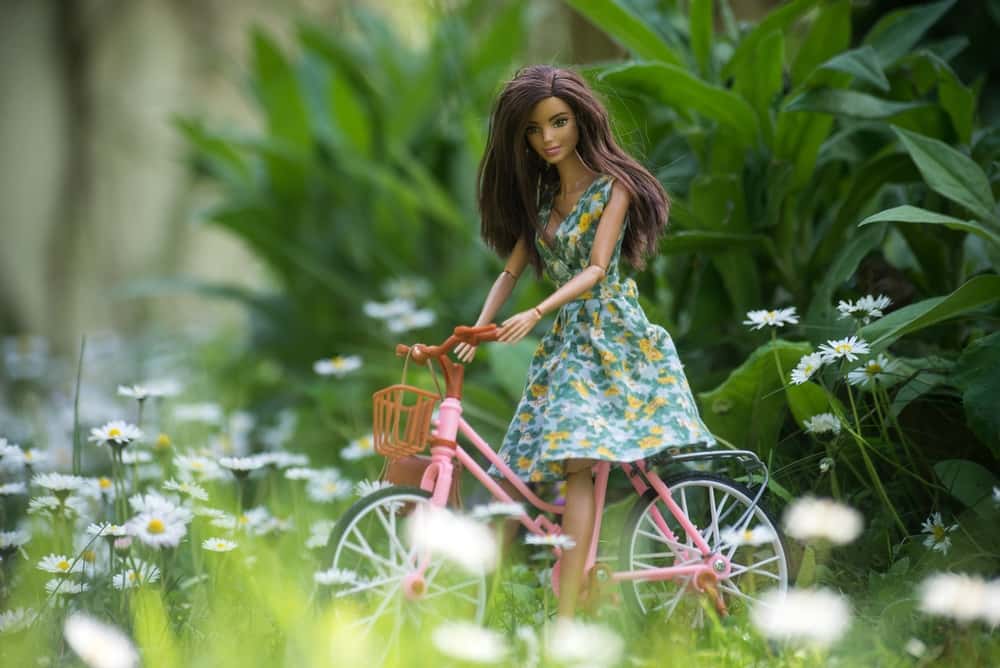 bicycle mini garden design