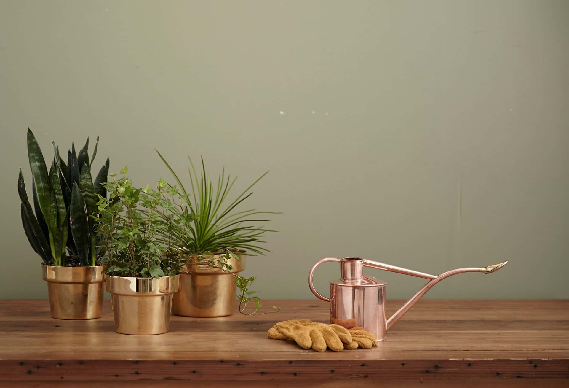 gold planters