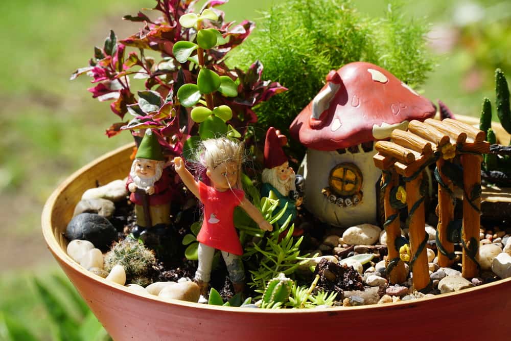mini garden design with magic mushrooms