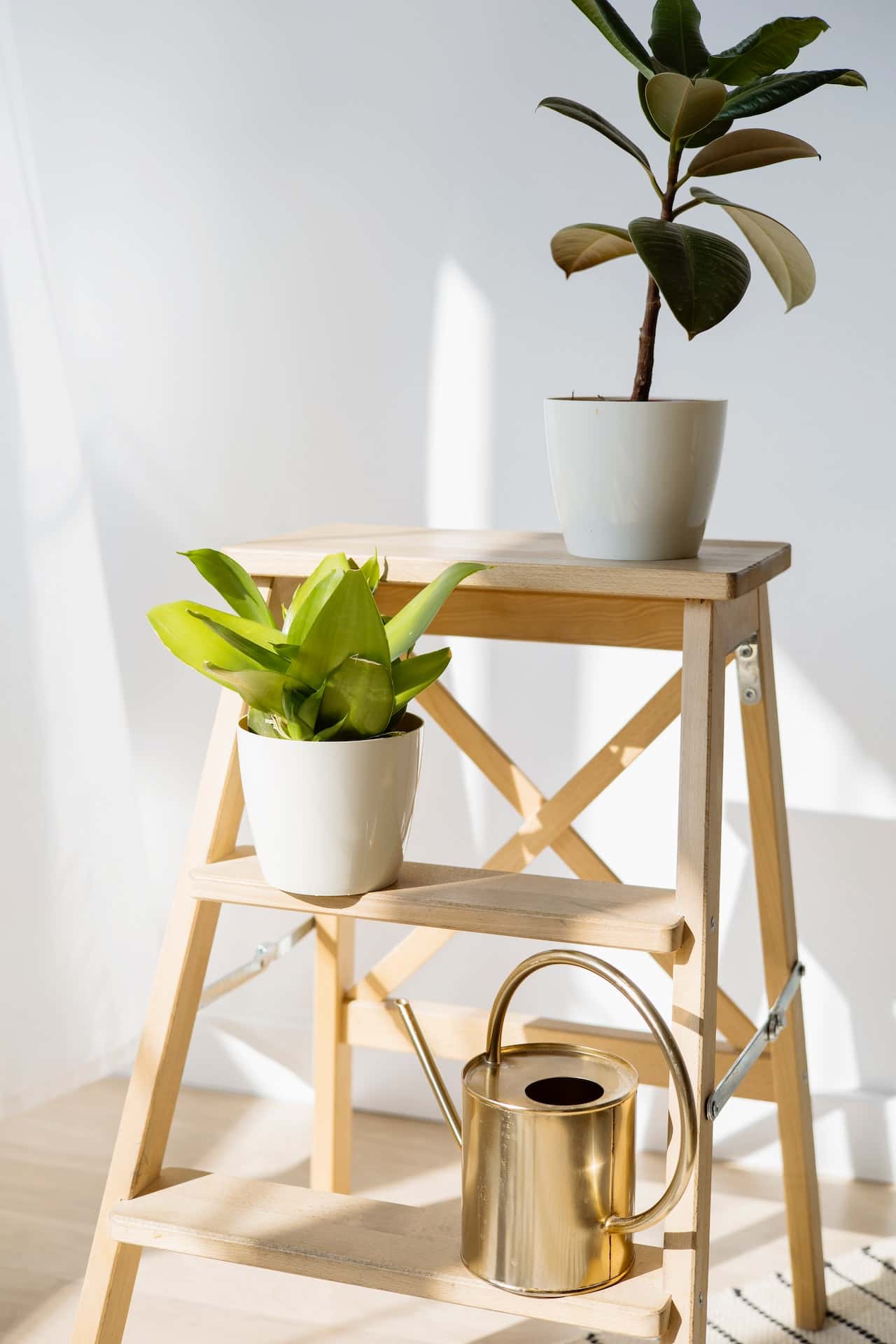 wooden ladder for display