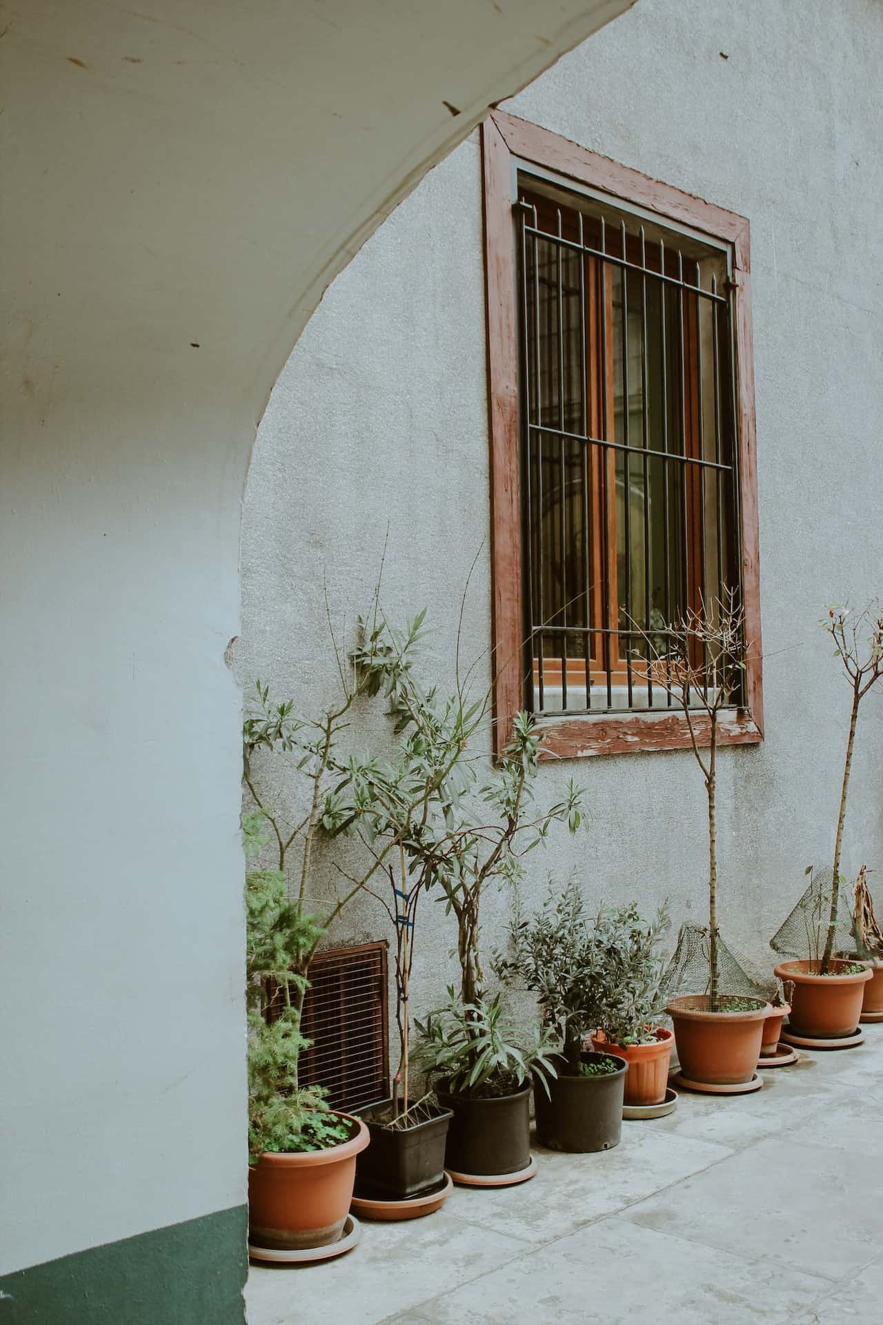 Classic window grill design for home with decorative potted plants