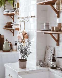 green leafed plant with gray pot on sink
