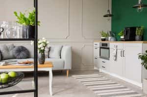 Empty Green Wall Copy Space Elegant