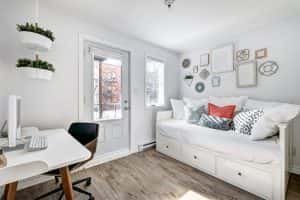 Full Set Modern Luxury Well Staged