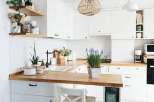 blue muscari flower on white modern kitchen