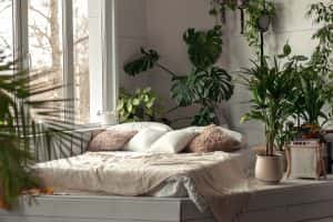 cozy bright bedroom indoor plants interior