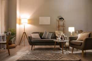 interior living room cozy grey sofa