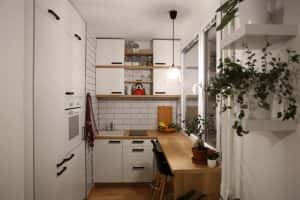 Cozy low cost modular kitchen designs with indoor plants and wood countertop