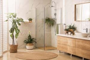stylish bathroom interior countertop shower stall