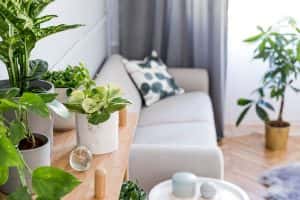 stylish boho home interior living room