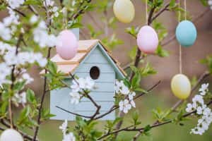 Beautiful decorative birdhouse