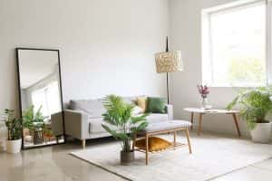 interior light living room comfortable sofa