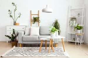 Interior light living room grey sofa