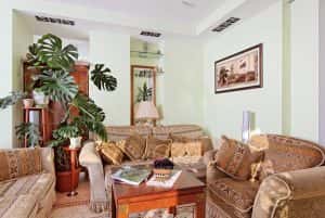 Classic drawing room interior rococo style furnitutre