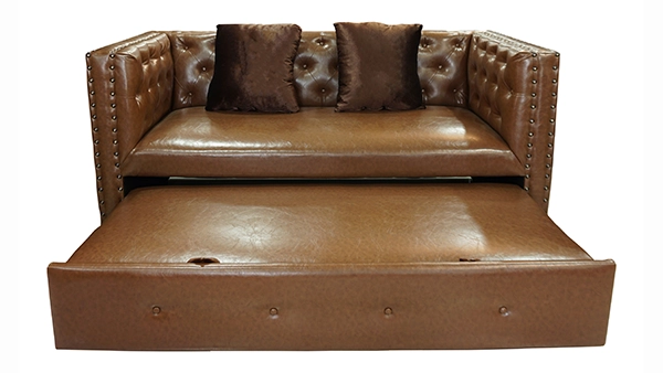 A pull-out sofa