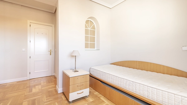 Daybed with Trundle