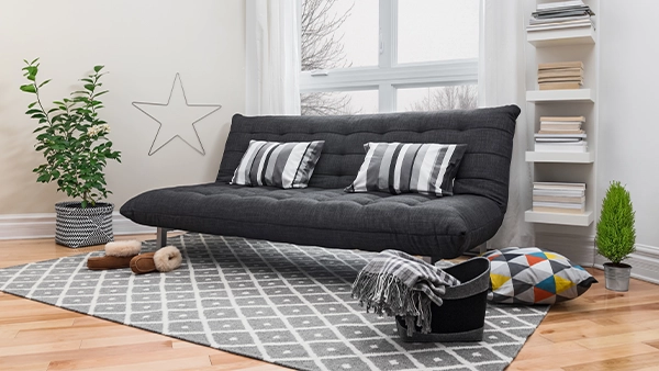 Futon sofa beds