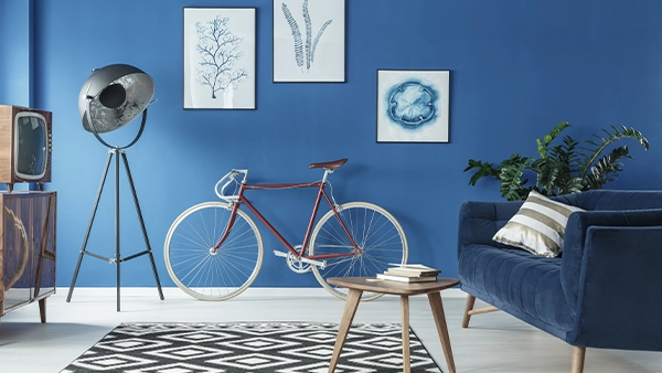 Navy blue and white interior