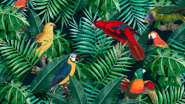 Tropical birds parrot hoopoe plants leaves