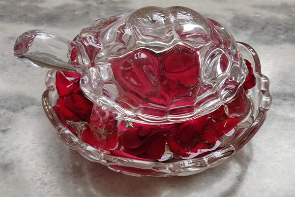 Crystal Tortoise: Vastu Benefits 
